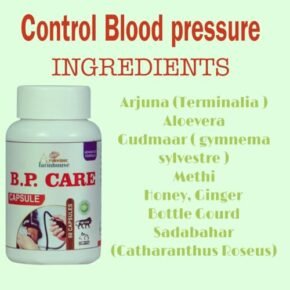 Ayurvedic Farmhouse BP Control for Blood pressure, Ayurvedic Medicine, Hypertension Management, 60 Capsules - Image 3