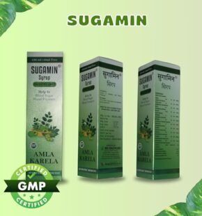 Sugamin Syrup, 450ml+50ml Free, Diabetes Care, Helps in Blood Sugar and Blood Pressure Control, Amla Karela Ayurvedic Medicine - Image 2