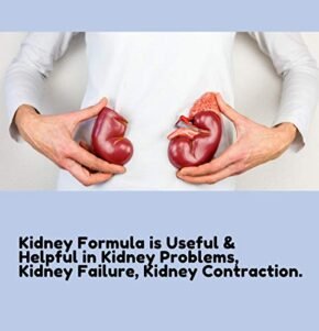 Jivan Shree Kidney Liver Heart and Lungs Detox Formula Combo Ayurvdic Creatnine Kidney Liver Support |Naturaly Cleanse and Detox Supplement KIDNEY and LIVER FORMULA - Image 7