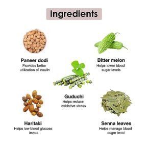 Namhya Diabetes Care Tea with Super Herb Paneer DODI and Other Ayurvedic Herbs, Bitter Melon, Guduchi, Haritaki etc for Regulating Blood Sugar Levels, Strengthens Immunity, (Loose Tea Leaves)