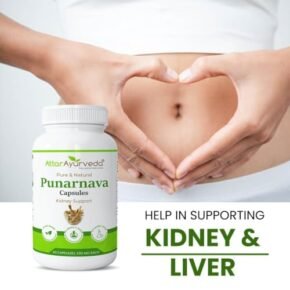 Attar Ayurveda Punarnava Capsules 350 mg - 60 capsules for Kidney Support | Support Digestion, Detoxify Body | Pure and Natural | Non-GMO - Image 2