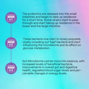 The Good Bug Glycemic Control | Helps Control Blood Sugar |Manages Diabetes |Diabetes Support |For Men & Women |15 Days - Image 4