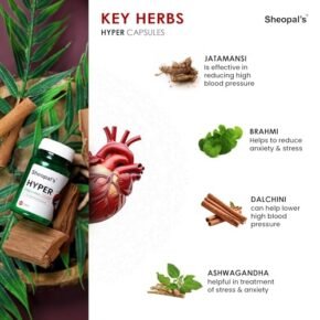 Sheopal's Hyper High Blood Pressure Capsule For Hypertension Management | High BP Control Ayurvedic Medicine | Hypertension Relief - 60 Capsule